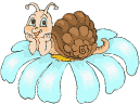 escargo_fleur.gif