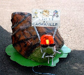 les_cagouilles002002.jpg
