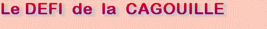 les_cagouilles002003.jpg